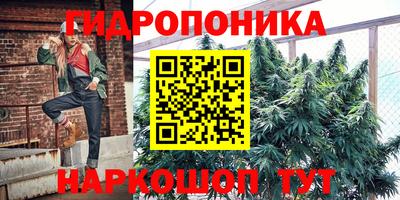 гашик Ставрополь