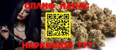 ГАЛЛЮЦИНОГЕННЫЕ ГРИБЫ Славгород